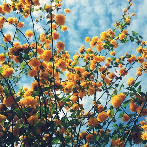 Meet your Posher, Valentina - Picture 1 of 1